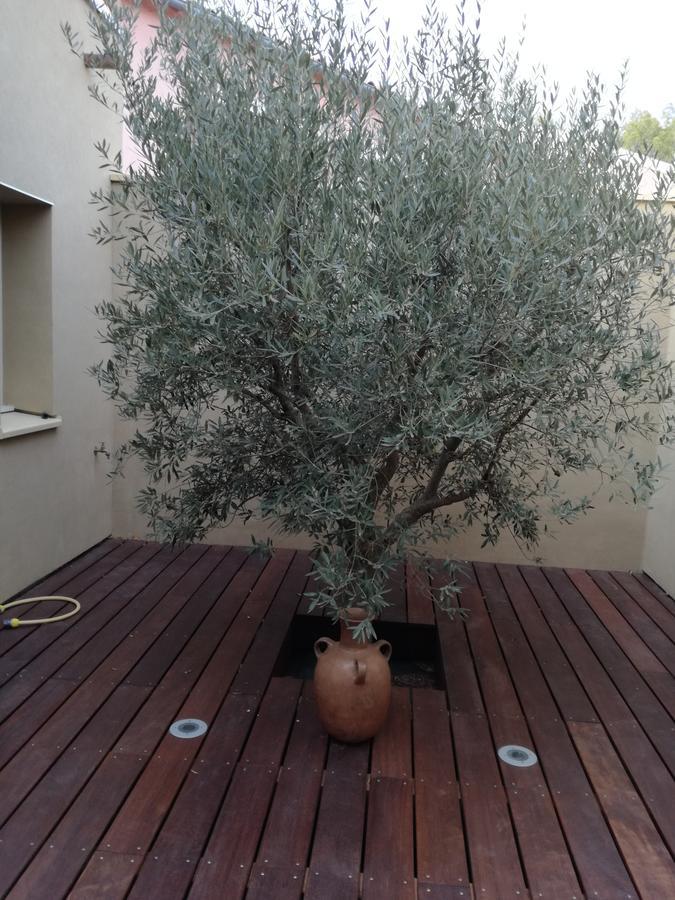Les Trois Oliviers Bed & Breakfast Forcalquier Bagian luar foto